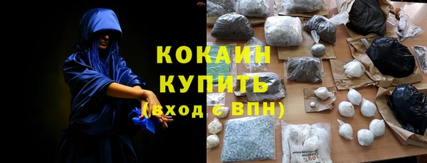 крисы Абаза