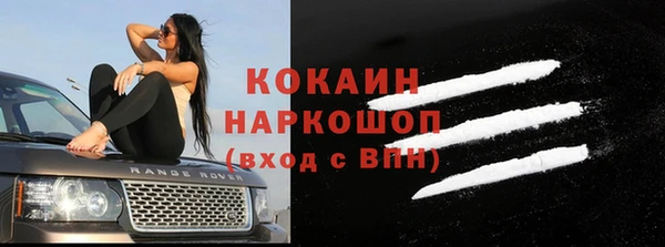 крисы Абаза