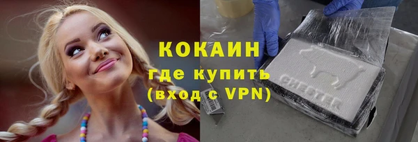 крисы Абаза