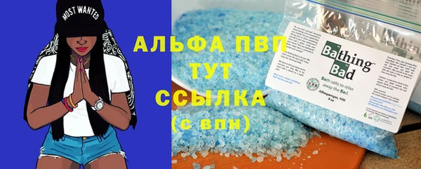 крисы Абаза
