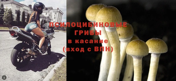 гашик Абдулино
