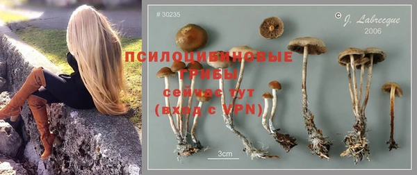 таблы Карпинск