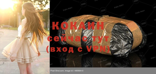 крисы Абаза