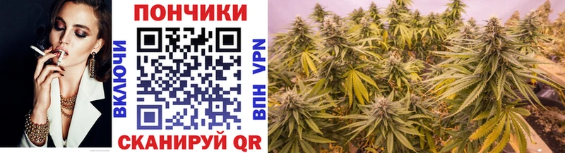 Каннабис Ganja  Новотитаровская 
